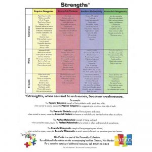 Youth Personality Profile